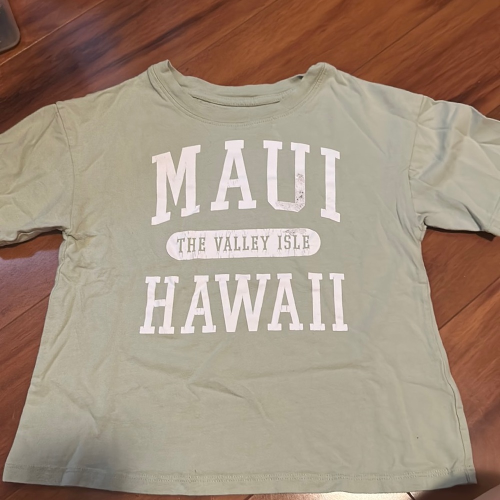 art class maui hawaii shirt